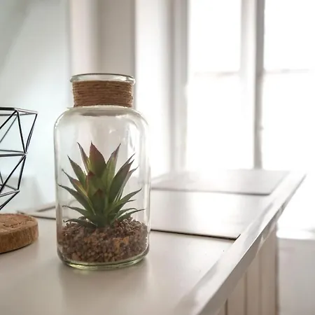 Apartament Le Nid - Place Imbach Angers