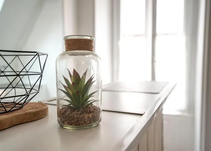 Apartamento Le Nid - Place Imbach Angers